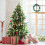 Candy Cane Christmas Tree Decorations 12 pcs 4