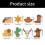 Multipurpose Assorted Cowboy Themed Adhesive Stick Note 3