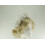 (White) Max and Ellie Diamante Fascinator 2