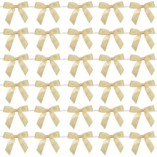 50-delige decoratieve lintenset voor handgemaakte-Champagne