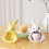 Rabbit Shape Silicone Mold For Candle Holder Epoxy Resin Soap 2