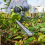 Ryobi Ryobi ONE+ 40cm Hedge Trimmer (Tool Only) 18V RY18HT40A-0 2