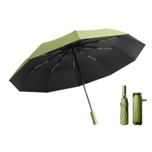 Windproof Travel Umbrella Auto Open Close Compact Quick Dry Folding Umbrella for Men and Women