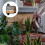 Digital Irrigation Timer Automatic Sprinkler Timer for Garden Lawn, Programmable Watering Control 4