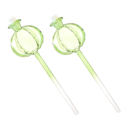 8pcs Glass Self Watering Globes for Indoor Potted Plants, Automatic Slow Release Hydration 1