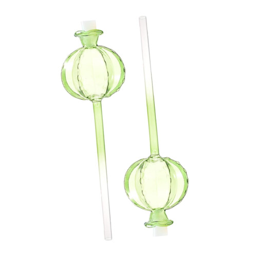 8pcs Glass Self Watering Globes for Indoor Potted Plants, Automatic Slow Release Hydration 2