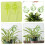 8pcs Glass Self Watering Globes for Indoor Potted Plants, Automatic Slow Release Hydration 4