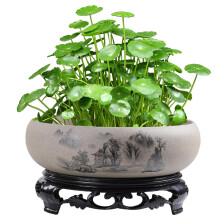 Ceramic Lotus Bowl Planter with Base, Shallow Hydroponic Round Pot for Water Lily and Aquatic Plants