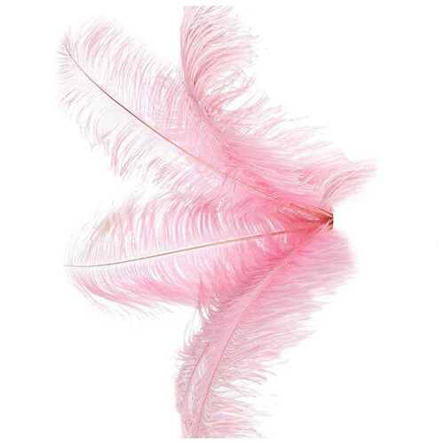 30 Pcs Natural Ostrich Feathers Wedding Party Decoration  20-25cm 2