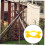 Tree Support Straps Staking Kit with Adjustable Design for Young Saplings Gentle Bark Protection 2