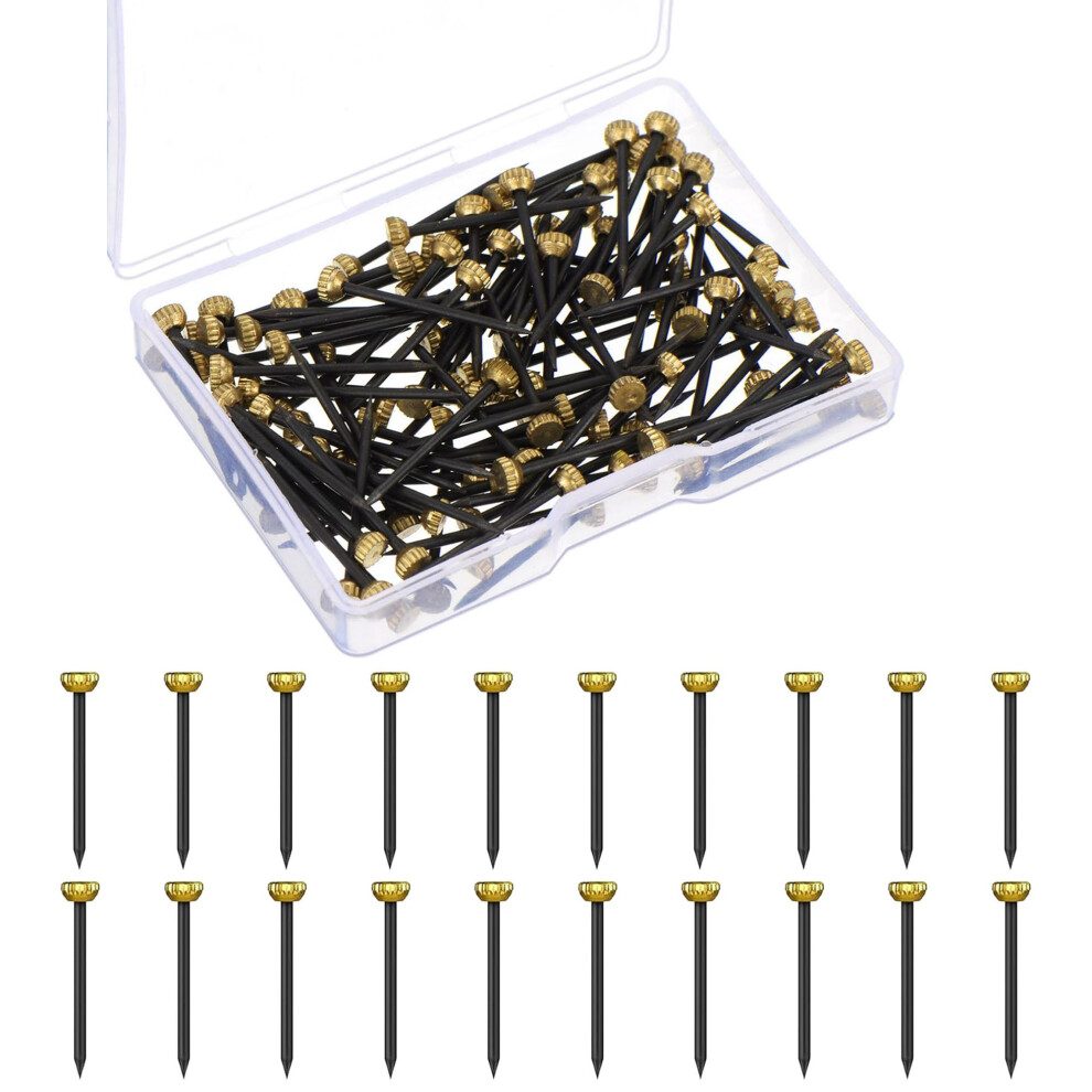 100 Pcs 25Mm Hardened Steel Picture Hanging Nails With Brass Head For Concrete Brick And Wood Surfaces 9073542116516