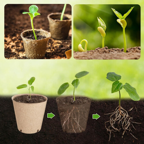 100 Count Round Plant Growth Trays With Better Drainage System 1