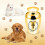 Waterproof Aluminum Alloy Pet Ashes Storage Container for-gold 3