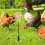 Hühner-Slow-Feeder-Spielzeug, Geflügel-Fütterungsgerät, 2