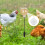 Hühner-Slow-Feeder-Spielzeug, Geflügel-Fütterungsgerät, 7