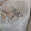 Elegant Odonate Brooch Badge Fine Polished Texture Safe For-1 6