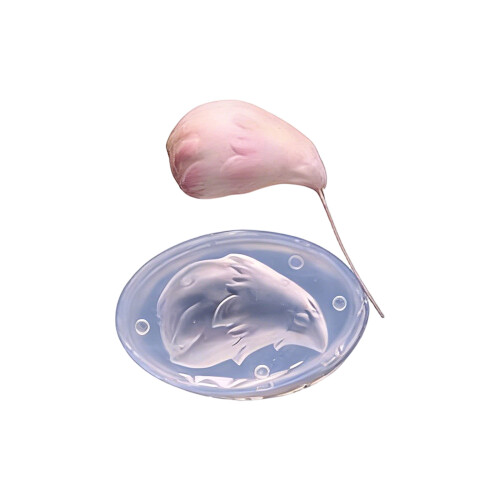 Multi Size Anime Character Tail Mold Safe For-S Type C