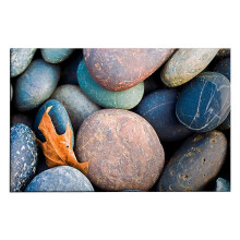(M C) Entry Door Mat 3D Vision Effect Stone Print Anti-slip Rectangle Thickened Decoration Indoor Outdoor