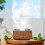 (Grain) Rain Cloud Humidifier Water Drip Colors Night Light Mushroom Lamp Diffuser 2