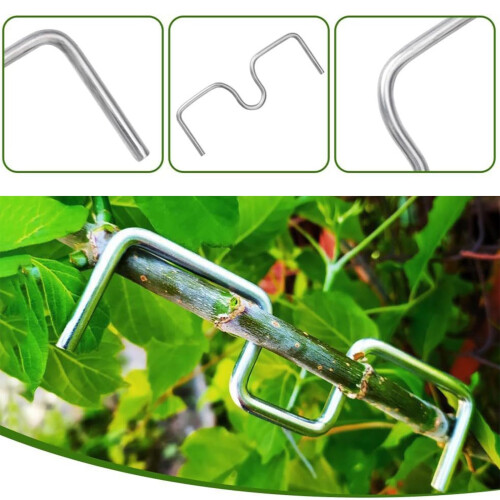 30 Pack Adjustable Tree Branch Spreaders for Fruit Trees, Galvanized Corrosion‑Resistant Branch Trainer Set 2