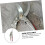Pruning Shears with Sharp Stainless Blades, Ergonomic NonSlip Grip for Thick Branches Trimming 5