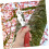 Tree Bark Stripping Tool Precision Girdling Cutter for Pomelo Pear Apple Trees Orchard Growth Control 5