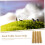 Model Scenery Grass Strips 4Piece Set, Realistic Static Grass Tufts for Diorama and Train Layouts 3