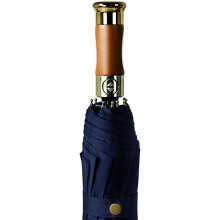 Travel Umbrella for Men Automatic Open Close Wind Resistant Compact Folding Umbrella for Business