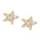 Draagbare hoofdtelefoon Diameter gesp-Goud 1