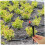 20pcs Garden Irrigation Sprinkler with Adjustable Misting Drip Nozzle and Spike Support 2