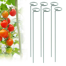 6 PCS Tomato Plant Support Stakes, Heavy Duty Metal Spiral Design for Garden and Potted Climbing Plants