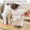 Rond Transparant Aquarium Met Kattenbescherming 4
