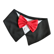 Leinen-Hunde-Fliege-Halsband-Zubehör,-XS