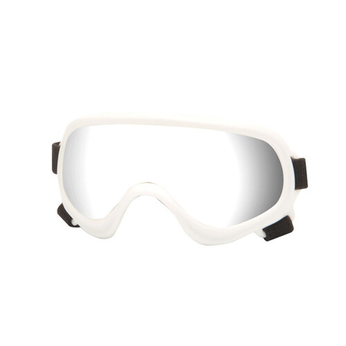 Lunettes de soleil coupe-vent pour chiens-Tablettes d'argent 04