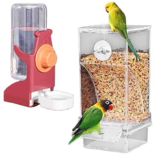 Mangeoire pour oiseaux, distributeur d'eau, ensemble-Bourgogne