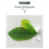 Decorative Water Plant Colorful Artificial Leaf Beautify 2