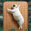 Large Cooling Mat for Pet Sleep Soft Cushions Sleep Pad-Style1 5