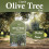 Vitax Vitax Liquid Olive Tree Feed Concentrate 1L 12