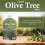 Vitax Vitax Liquid Olive Tree Feed Concentrate 1L 4