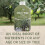 Vitax Vitax Liquid Olive Tree Feed Concentrate 1L 9