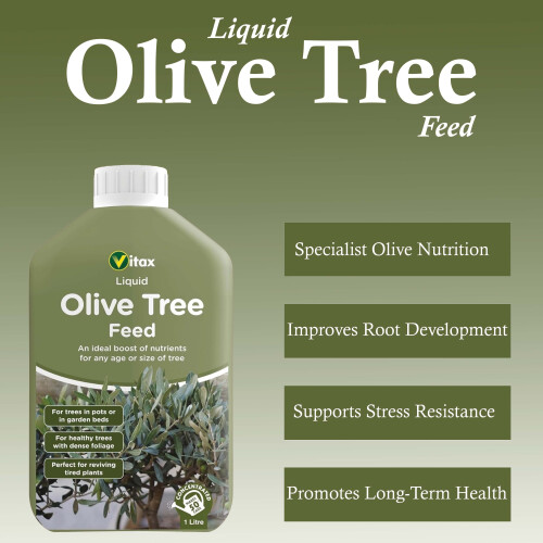 Vitax Vitax Liquid Olive Tree Feed Concentrate 1L 1
