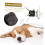 Silent Quartz Clock Movement Kit with Luminous Hands, Battery Powered DIY Replacement for Wall Clock 2