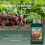 Westland Westland Organic Vegetable Specialist Liquid Feed 1L 8