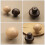 4 Pack Walnut Wood Cabinet Knobs Natural Finish Drawer Pulls for Wardrobe and Kitchen Cabinets 4