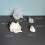 Conch Shape Silicone Mold Storage Box Moulds for Candle Cups and 3