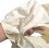 Drap de massage, housse de table de massage esthétique avec ouverture pour le visage, bord élastique (beige) 2