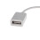 3.5mm AUX Connector to Converter Cable 3
