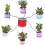Flower Plant Automatic Watering System Garden Drip Irrigation Device 10pcs 3