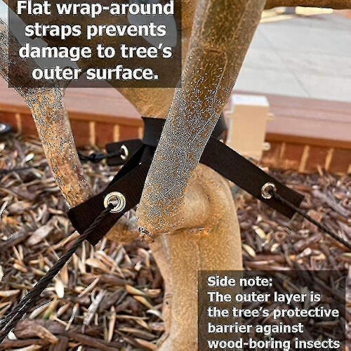 Tree Stake Kit - Anchoring Kit compatible with Young Trees 1