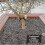 Tree Stake Kit - Anchoring Kit compatible with Young Trees 4